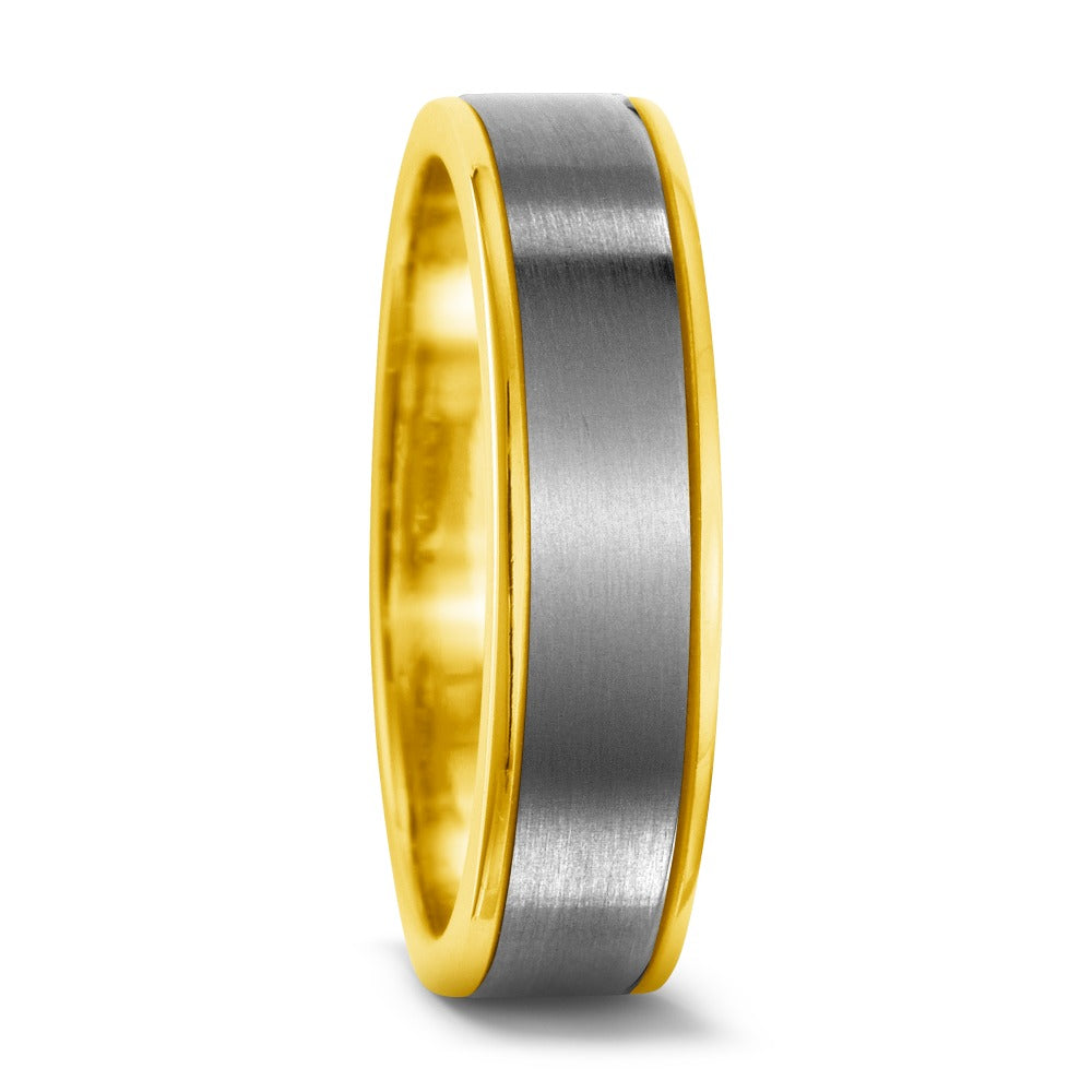 Partnerringe Titanium, 750/18K guld