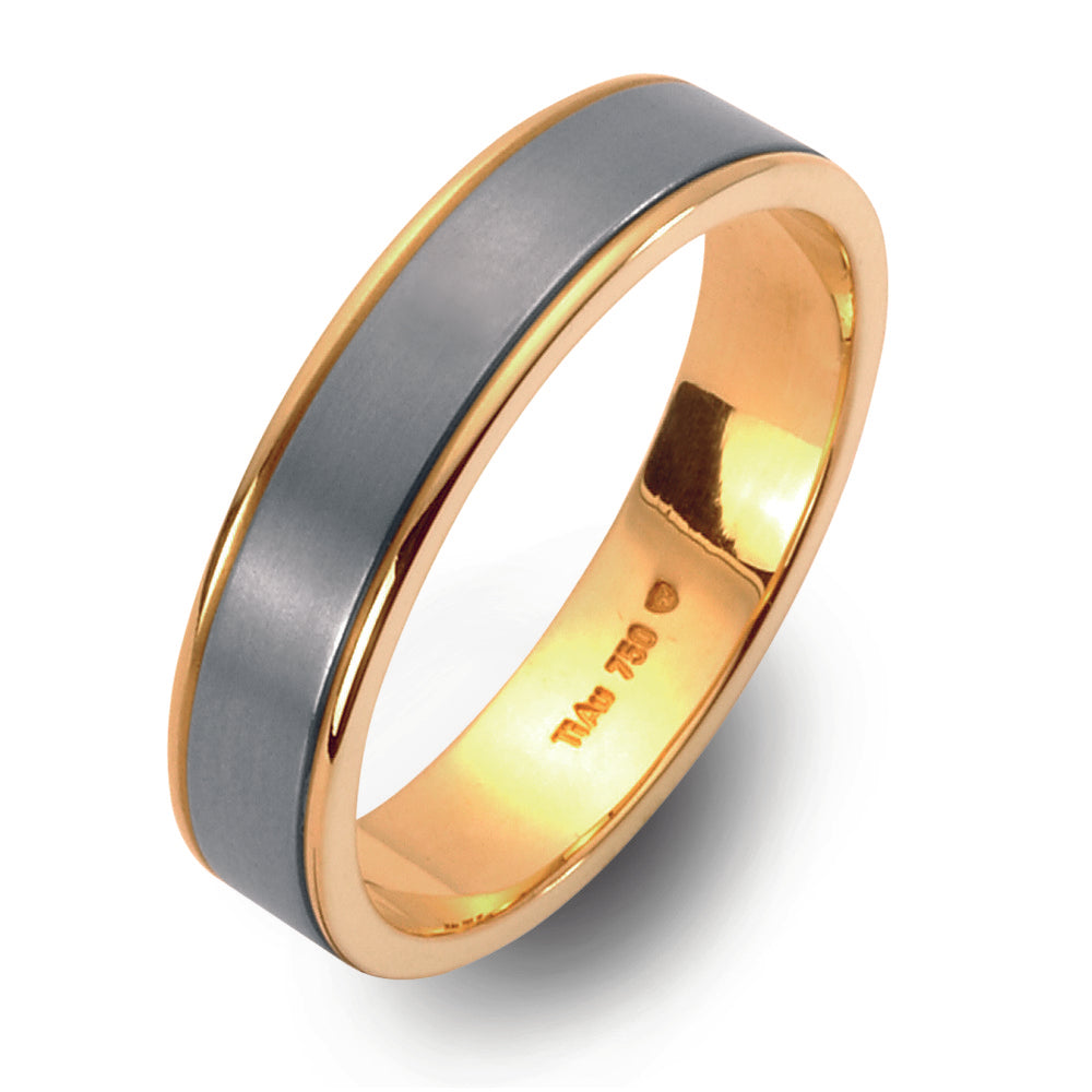 Partnerringe Titanium, 750/18K guld