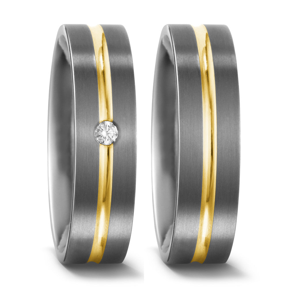 Partnerringe Titanium, 750/18K guld