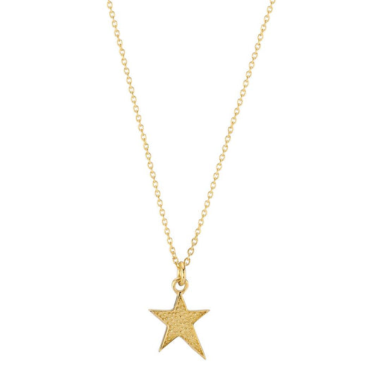Collier 585/14K guld stjerne 39-42 cm